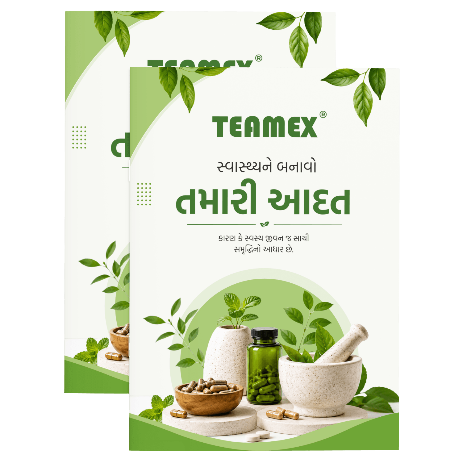 The Healthy Habit (Gujarati)